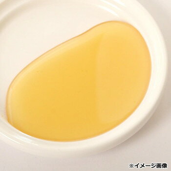 （代引き不可）（同梱不可） ルン ド ミエル ハチミツ アカシア 250g 10個セット 070059 くせのないさっぱりとした甘さ officeyu-10806657 オフィス ユー サンプル画像3