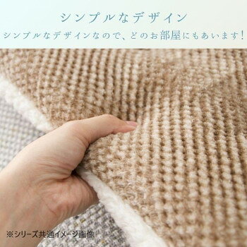 (同梱不可) クッション 「ラムリー」 ブラウン 40×40cm 1224760020291 どんな空間にも合わせやすい無地クッション [3]