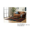 (同梱不可) い草ラグ カーペット DXストーリー 140×200cm RE 1051770242303 部屋を引き立たせる