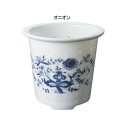 (同梱不可) おしゃれポット オニオン KA-300 ガラスのティーポットに有田焼の茶こしがおしゃれなティーポット(3)