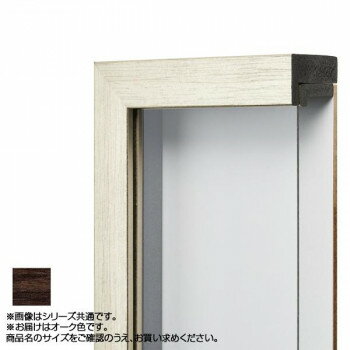 （同梱不可） アルナ 樹脂フレーム 油額 ダブルフレーム オーク SM 61612 シンプルな油額