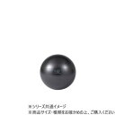 (同梱不可) ダンノ(DANNO) ギムニクカラーボールPLUS 65(ブラック) D5422BK ギムニクのカラーボール(4)