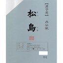 (同梱不可) 漢字用画仙紙 松島 半切 20枚 ポリ入・AC1201-21 漢字用におすすめ