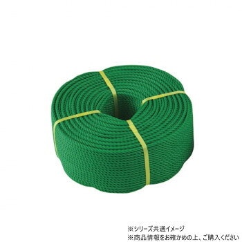 （代引き不可）（同梱不可） 三和体育製販 グラウンドロープ6mm×200m ロープのみ 緑 S-2880 ラインのマーキングに最適