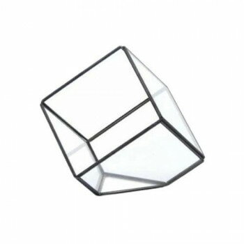 （同梱不可） テラリウム スクエアL 152088 テラリウム