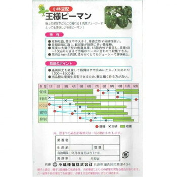 オフィス ユーの（代引き不可）（同梱不可） 小林種苗 ピーマン種子 王様ピーマン(グリーン500号)　7218　小袋(0.7ml) 極上の果実がごろごろ獲れる!｜アングル3