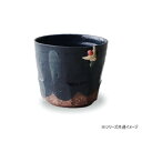 (同梱不可) 清風 クライミング 焼酎カップ夏(簡易箱) KE-1007K 遊びごころのあるデザイン