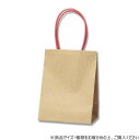 (同梱不可) シモジマ HEIKO(ヘイコー) 004084001 プチバッグ 9-6 未晒無地 10枚 プチギフトに最適な小さな紙袋