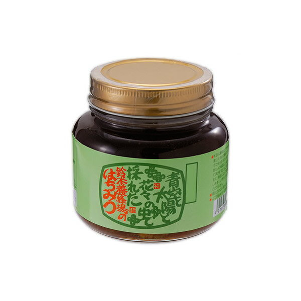 (代引き不可)(同梱不可) 鈴木養蜂場 はちみつ そば蜜(SB) 450g 2個セット 砂糖の替わりにコーヒー・紅茶にどうぞ!!