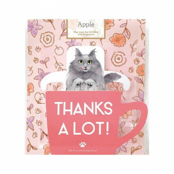 （代引き不可）（同梱不可） 陶和 キッサ ティーバッグ PK アップルティー 12個入り 12460 ギフトにおすすめ