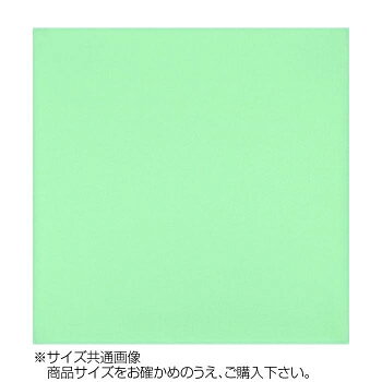 （同梱不可） トレシー カラークロス 24×24cm A2424-YOO G-18 セージ シンプルな無地タイプのカラーク..