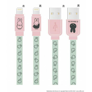 エレコム USB2．0ケーブル(認証品、C-C、やわらか耐久、PD対応) 0．3m オリジナル レッド ED-CCYS03RD [EDCCYS03RD]