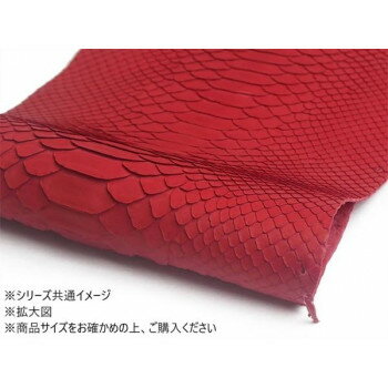 (同梱不可) 切り革 パイソンソフトマット(バックカット) 赤 1枚 Pkawa019-20-02 レザークラフトにおすすめ!パイソン (同梱不可) 切り革 パイソンソフトマット(バックカット) 赤 1枚 Pkawa019-20-02 レザークラフトにおすすめ!パイソン