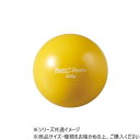 (同梱不可) DANNO ダンノ プライオボール225 D5277 怪我防止に最適
