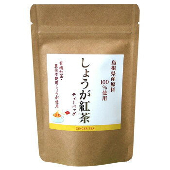 （代引き不可）（同梱不可）島根県産　しょうが紅茶　ティーバッグ(2g×12個入)×10セット