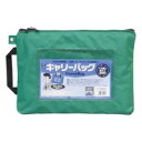 ミワックス キャリーバッグ CB-400-G A4 マチ無 緑 / メールバッグ / 268372(3)
