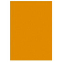 タカ印 蛍光ポスター 13-3184 A4 橙 / POP用品 / 276891