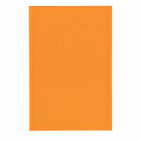 祤ƥå ޥͥåȥȥ磻ɥĥͭ  B210J-O / ֤Ȥʤ¾ / 321929