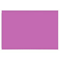 彩色圖畫紙 - 大王製紙 再生色画用紙 8ツ切 10枚 むらさき / 画用紙 / 324379