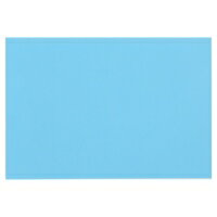大王製紙 再生色画用紙 8ツ切 10枚 そら / 画用紙 / 324386