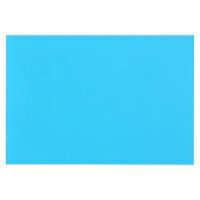 大王製紙 再生色画用紙 8ツ切 10枚 うすあお / 画用紙 / 324387