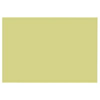 大王製紙 再生色画用紙 8ツ切 10枚 やなぎ / 画用紙 / 324390