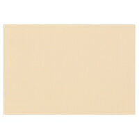 大王製紙 再生色画用紙 8ツ切 10枚 しらちゃ / 画用紙 / 324396