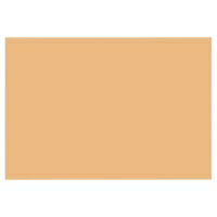 大王製紙 再生色画用紙 8ツ切 10枚 うすちゃ / 画用紙 / 324397