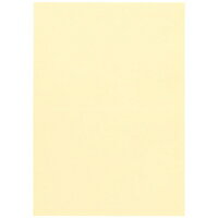 ジョインテックス カラーマルチペーパーB5冊レモン A170J-6 / コピー用カラー用紙 / 354009