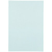 スマートバリュー 色画用紙 4ツ切10枚 うすみずいろ P144J-8 / 画用紙 / 381326