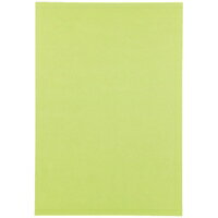 スマートバリュー 色画用紙 4ツ切10枚 きみどり P144J-12 / 画用紙 / 381330