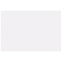 再生色画用紙 8ツ切 10枚 うさぎ・