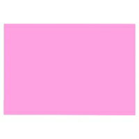 彩色圖畫紙 - 大王製紙 再生色画用紙 8ツ切 10枚 フラミンゴ / 画用紙 / 867716