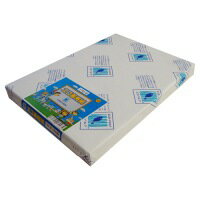 北越コーポレーション エコ画用紙 8ツ切特厚 170-8 100枚 / 画用紙 / 880577