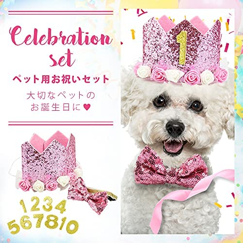 金城バリヤース お祝い パーティーセット 犬 猫 ペット用 王冠 蝶ネクタイ ナンバ...