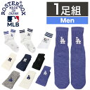 ロスターソックス MLB 靴下 メジャーリーグ ヤンキース ドジャース ラインソックス ROSTERSOX メンズ スリークォータース クルー リブ ソックス 公式 野球 ロゴ(4)