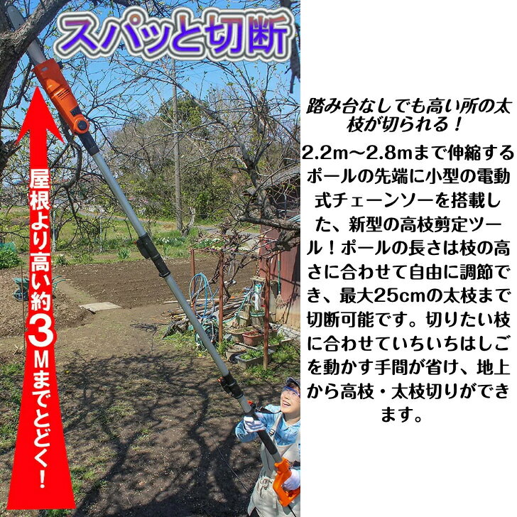 高枝 超 軽量 小型 電動チェーンソー Vmax 高枝切り ES N25A-JP チェーンソー ノコギリ 剪定 作業 信頼 YARD FORCE OREGON オレゴン製 20mコード DIY 庭 木 屋外 屋外用 太い枝 裁断 枯れ木 切り株 解体 家庭用 庭作業 送料無料 メーカー保証