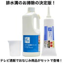 楽天OG-LANDLe Plus ルプラス お風呂掃除 2点セット 浴室 キッチン トイレ パイプ 排水溝 カビ つまり 除去 分解 ぬめり 排水溝洗浄剤 洗濯槽 クリーナー 業務用 家庭用 排水口キレイ プラス テレビ通販 送料無料 プレゼント 敬老の日