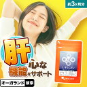 L-オルニチン(約3ヶ月分) オルニチン サプリ 効果 効能 男性・女性にもおすすめ 酒 しじみ 送料無料 サプリメント サプリ 5粒あたり840mgの「L-オルニチン」を配合 お酒 オーガランド しじみ(シジミ・蜆)でおなじみ