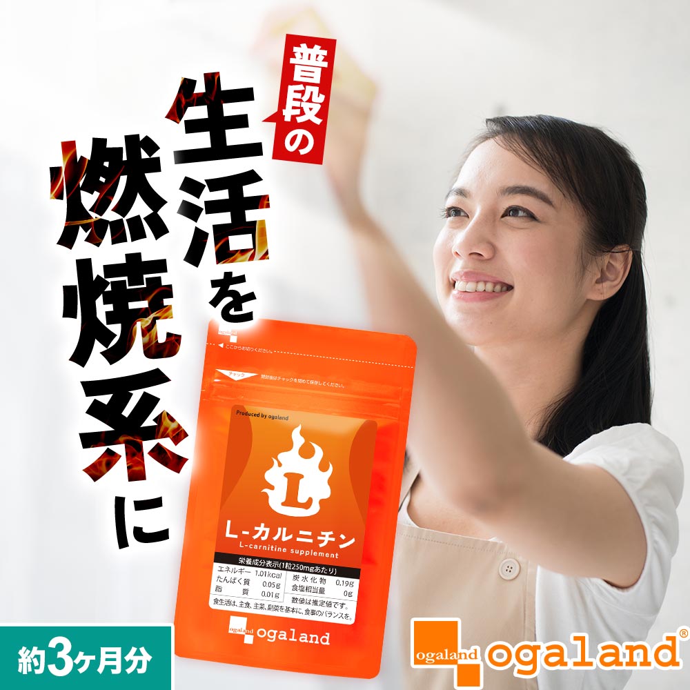 ダイエット サプリ L-カルニチン（約3ヶ月分） ダイエットサプリ 口コミ 評判 ダイエット カルニチン サプリメント B…