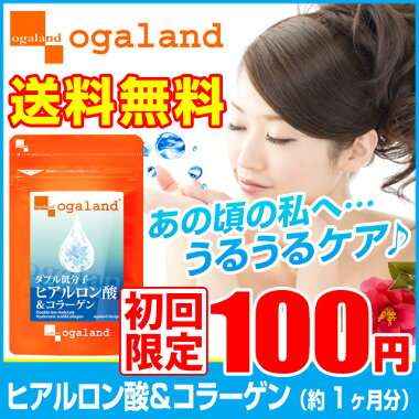 【送料無料】100円/W低分子ヒアルロン酸&コラーゲン/美容/潤い/ハリ/節々/健康/グルコサミン/コンドロイチン/保湿/スキンケア/飲むエステ/飲むコラーゲン/飲むヒアルロン酸/乾燥/ツバキ/楽天市場/ポイント10倍!送料無料など/飲むタイミング/ランキング/