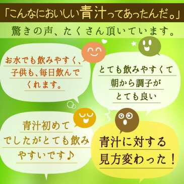 青汁(30包)送料無料 野菜不足 青汁ドリンク あおじる 大麦若葉 ケール ハチミツや牛乳と一緒に ゴーヤ 便秘 個包装 国産 ビタミン ミネラル 葉酸 オリゴ糖 【M】 _JB_JD_JH_ZRB