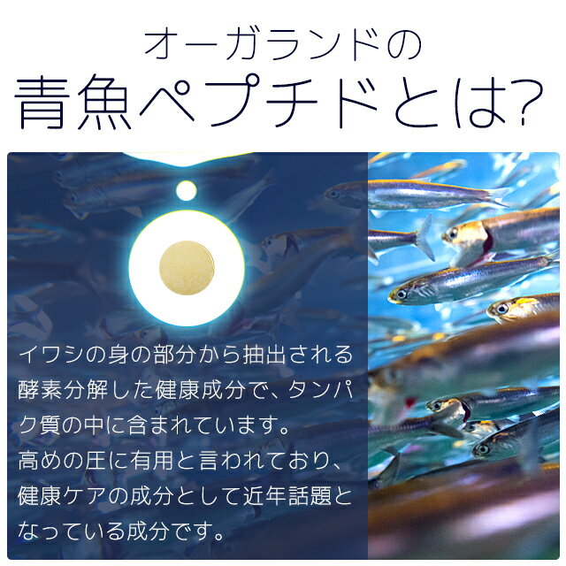 【エントリーでポイント最大10倍】青魚ペプチド（約1ヶ月分）送料無料 サプリメント サプリ dha epa しょうが 必須脂肪酸 イワシペプチド配合 鰯 イワシ ペプチド 健康維持 オーガランド supplement 食生活 が偏りがちな方に【N】 _JH