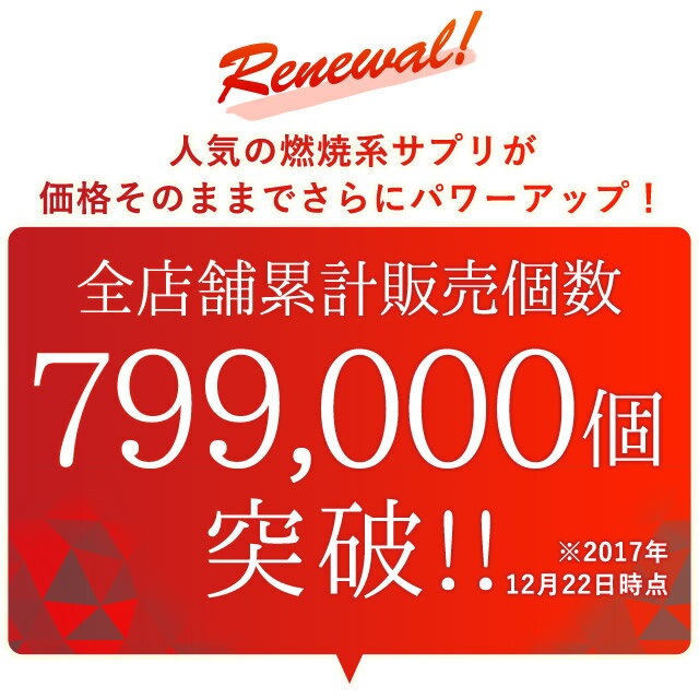 【40%ポイントバック】α-リポ酸（約3ヶ月分）送料無料 サプリメント ダイエット サプリ アルファリポ酸 Lオルニチン コエンザイムQ10 ビタミンC ビタミンE 配合 燃焼系 ダイエット エイジングケア オーガランド 口コミ 評判 低価格 【M】 _JB_JD_JH