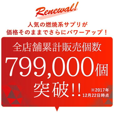 α-リポ酸（約6ヶ月分） 送料無料 サプリメント ダイエット サプリ アルファリポ酸 Lオルニチン コエンザイムQ10 ビタミンC ビタミンE 配合 燃焼系 ダイエット エイジングケア 大容量 【M】 【半年分】 _JD_S20