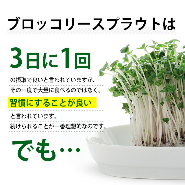 楽天市場 ブロッコリースプラウト スルフォラファン サプリ 約12ヶ月分 送料無料 ダイエット サプリメント ブロッコリー ミネラル ビタミン ファイトケミカル スーパーフード 1年分 Jd Jh サプリ専門店 オーガランド