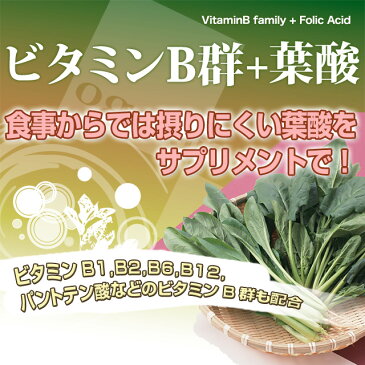 【クーポン利用で30％OFF】ビタミンB群+葉酸（約6ヶ月分）送料無料 サプリメント サプリ 葉酸 鉄分 ビタミンM オーガランド 健康 美容 ビタミン B2 B3 ビール酵母 食物繊維 ミネラル カルシウム 葉酸サプリ 大容量 【M】 【半年分】 _JB_JH