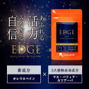 EDGE エッジ（約3ヶ月分）男性 送料無料 サプリメント サプリ オリーブ葉エキス オレウロペイン カツアーバ マカ パフィアエキス末 オーガランド 元気 健康 亜鉛 【メンズ】 _JH 3