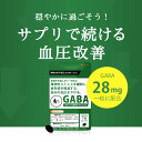 【機能性表示食品】GABA（約6ヶ月分）血圧 改善 ストレス 緩和 疲労 感 軽減 サプリメント 送料無料 GABA ギャバ 配合 リラックス・リフレッシュ オーガランド カカオ 高麗人参 亜麻仁油 イワシ抽出ペプチド 健康 美容 γ-アミノ酪酸 受【半年分 3