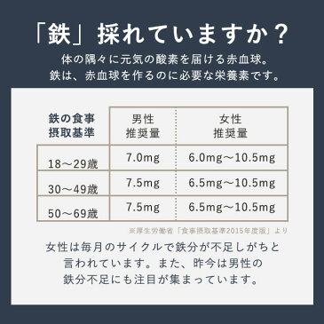 ヘム鉄 & ビタミン（約6ヶ月分） 送料無料 鉄 鉄分 サプリ ミネラル サプリメント 非ヘム鉄 鉄分補給 女性特有 ダイエット 健康 鉄分不足 ヘルスケアのお悩みに 健康に欠かせない成分「鉄分」を配合 大容量 【M】 【半年分】 _JH_在管_ZRB